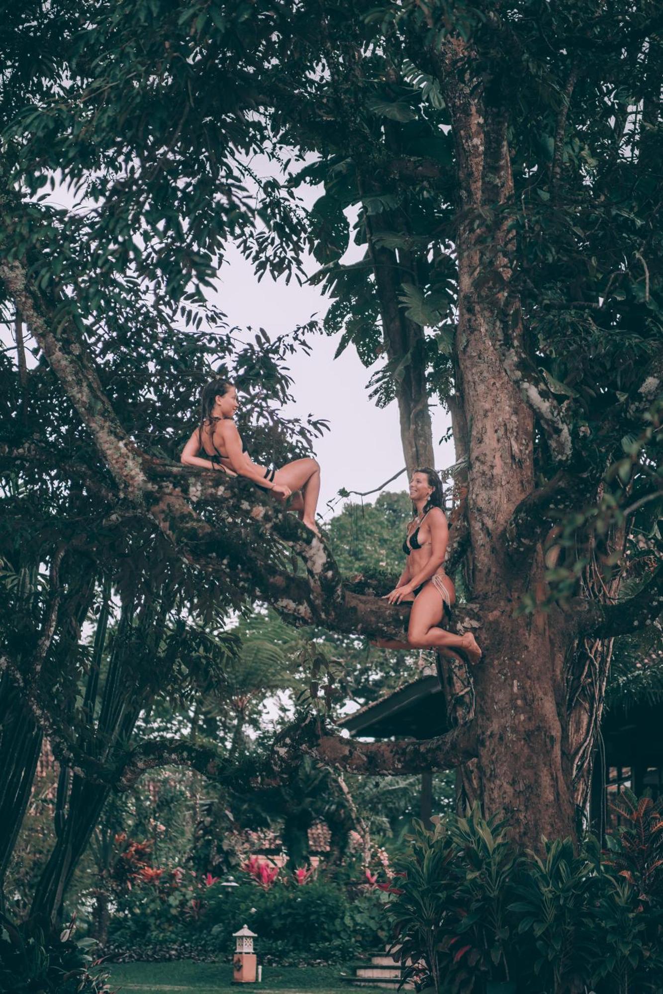 Ijen Resort And Villas - The Hidden Paradise บันยูวังงี ภายนอก รูปภาพ