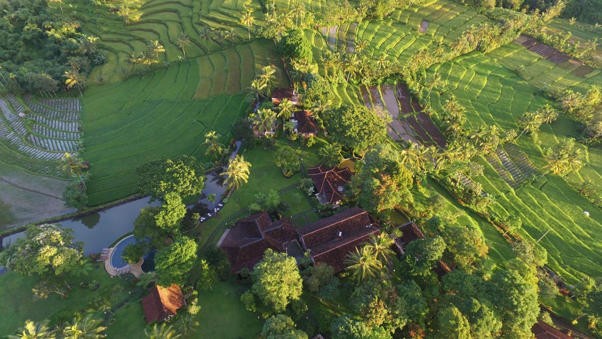 Ijen Resort And Villas - The Hidden Paradise บันยูวังงี ภายนอก รูปภาพ