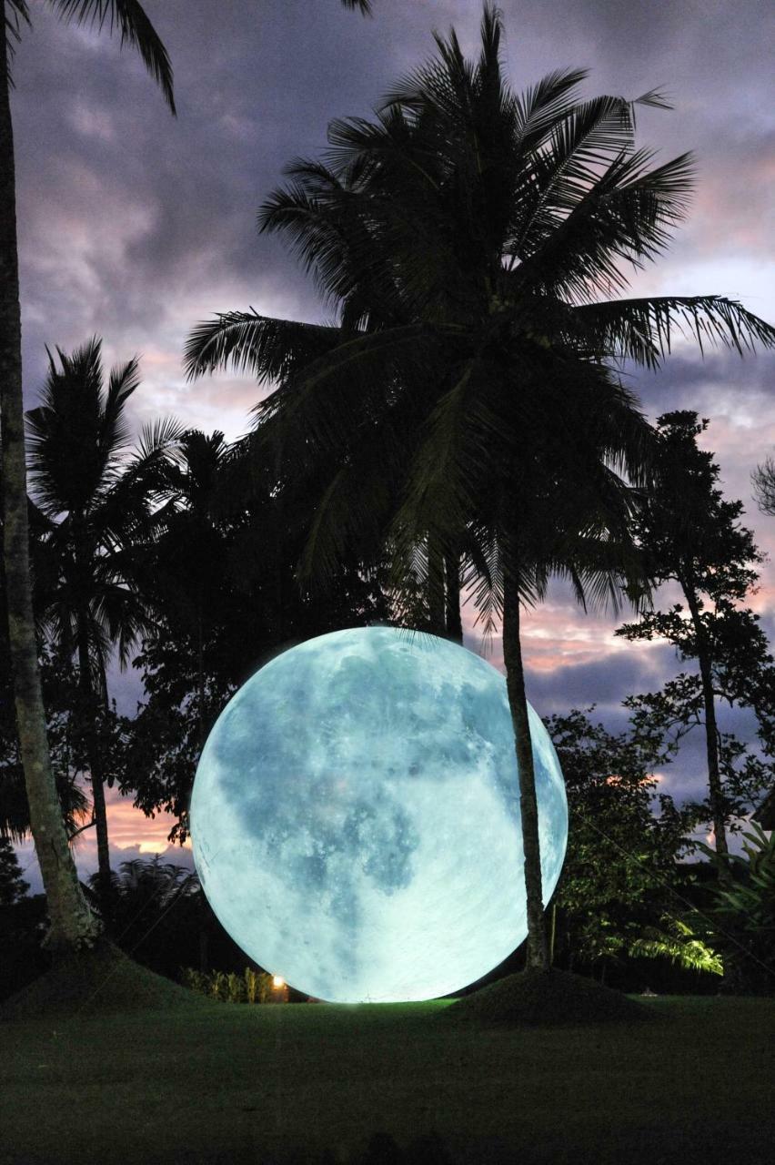 Ijen Resort And Villas - The Hidden Paradise บันยูวังงี ภายนอก รูปภาพ