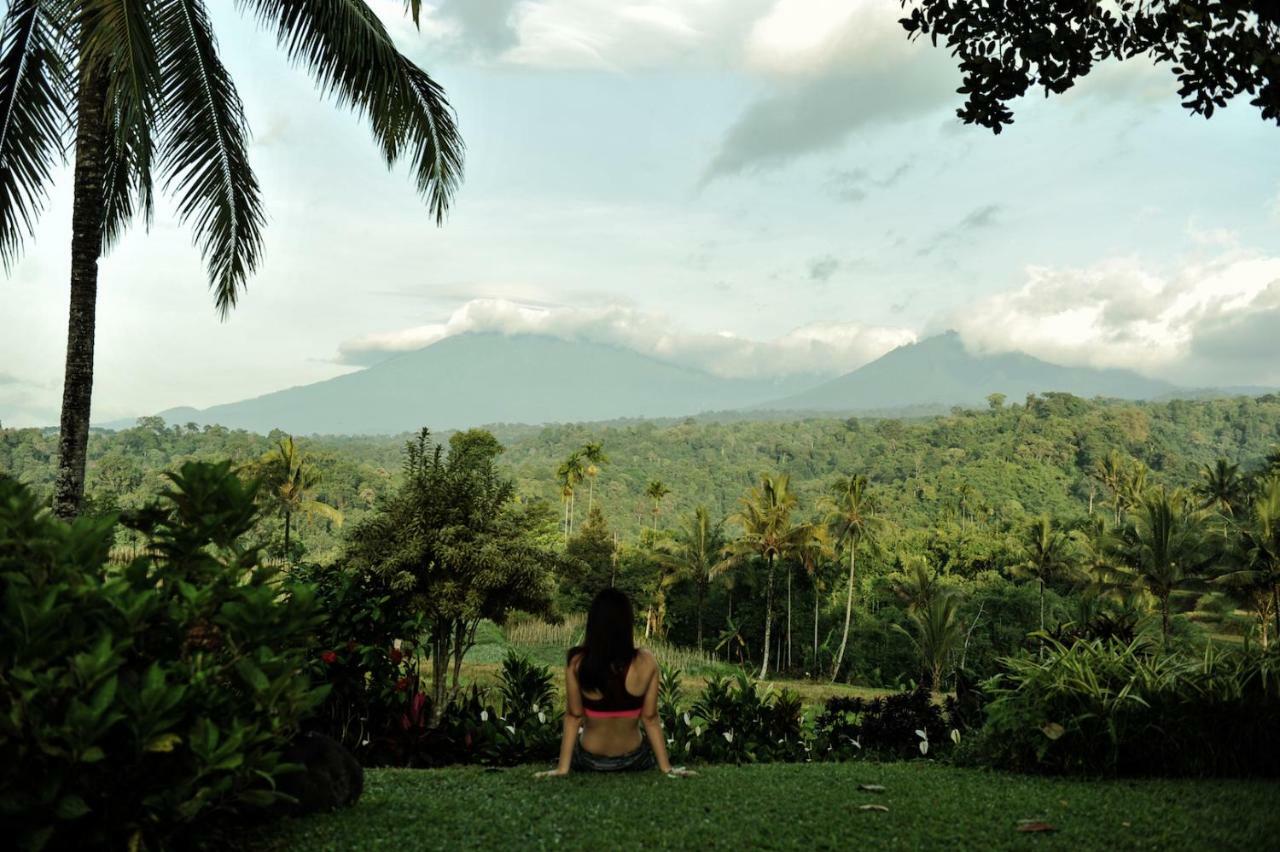 Ijen Resort And Villas - The Hidden Paradise บันยูวังงี ภายนอก รูปภาพ