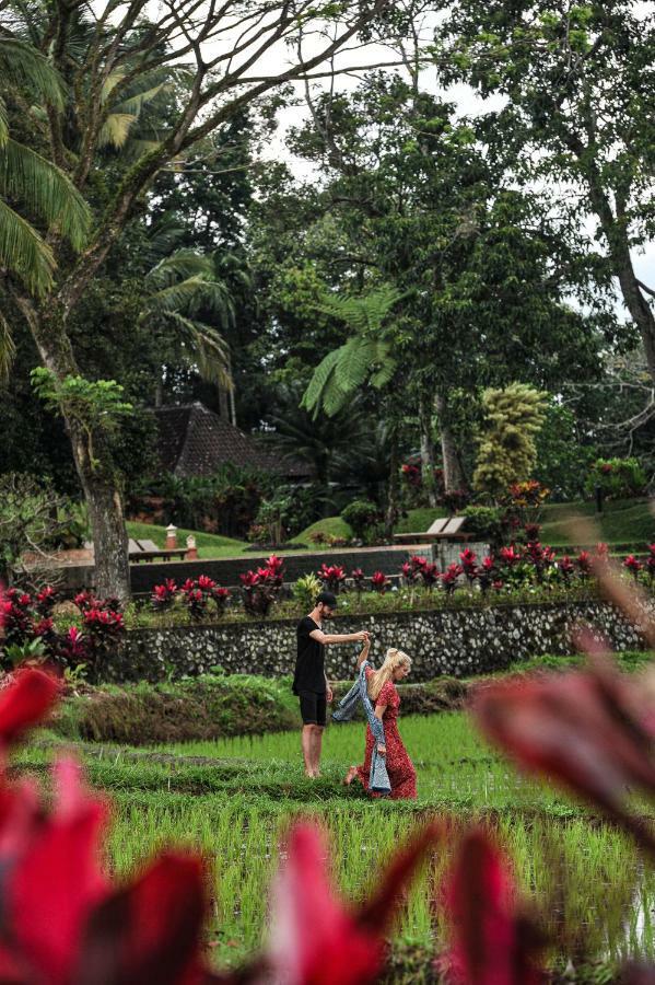 Ijen Resort And Villas - The Hidden Paradise บันยูวังงี ภายนอก รูปภาพ