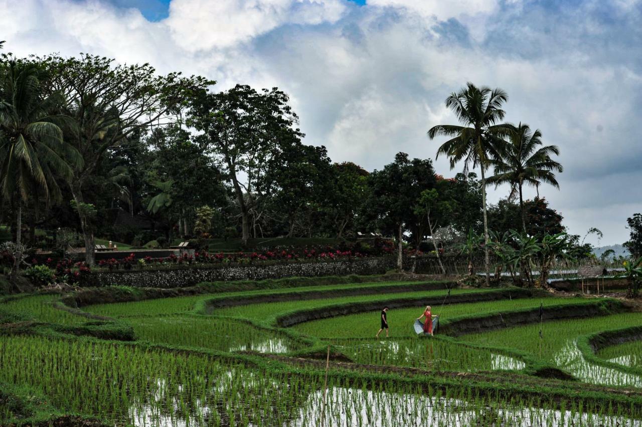 Ijen Resort And Villas - The Hidden Paradise บันยูวังงี ภายนอก รูปภาพ