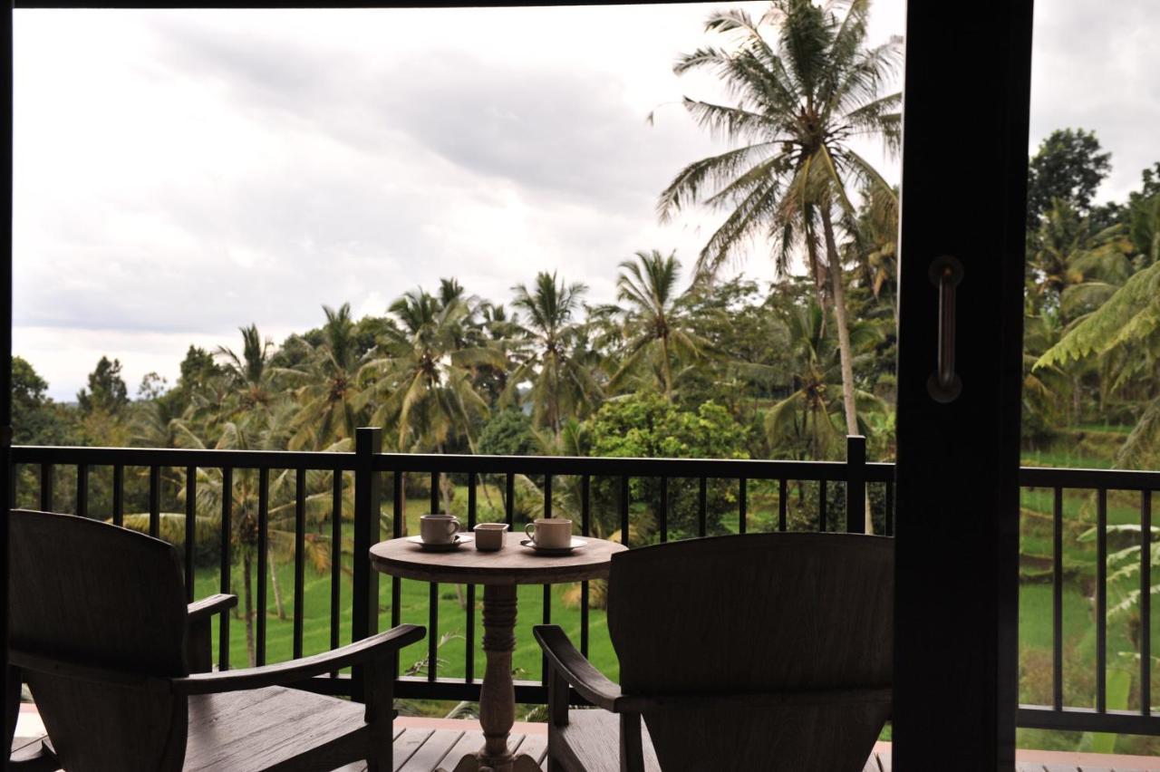 Ijen Resort And Villas - The Hidden Paradise บันยูวังงี ภายนอก รูปภาพ